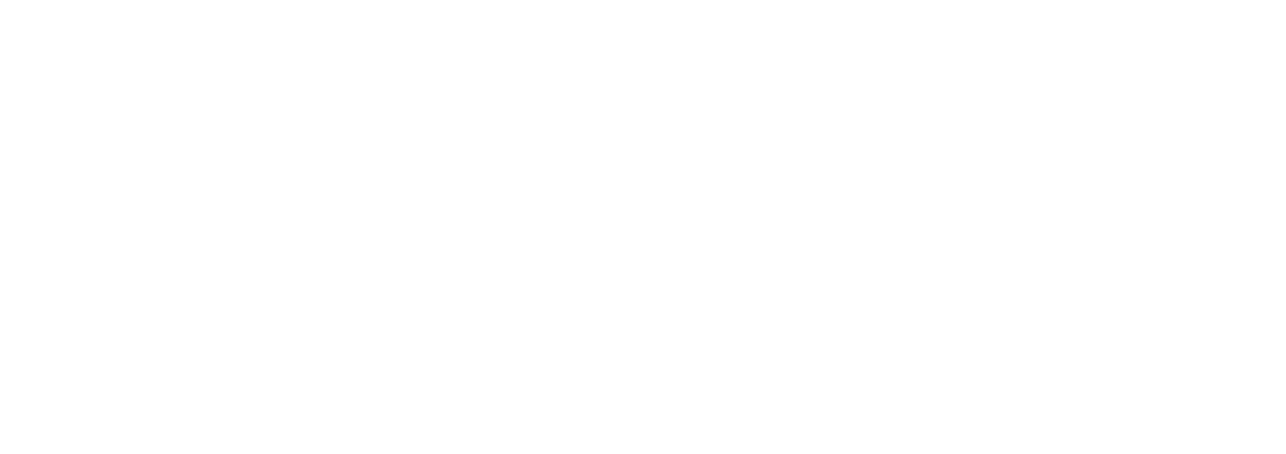Dr Leysvan Morales